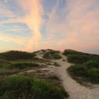 Beach dunes